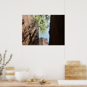 ジオン国立公園の岩の間に生える木 ポスター (キッチン)