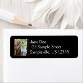 ジオン国立公園の岩の間に生える木 ラベル (インサイチュ)