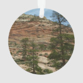 ジオン国立公園の風化した岩壁 オーナメント (裏面)