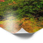 ジオン国立公園 フォトプリント            (角)