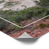 ジオン国立公園 ポスター (角)