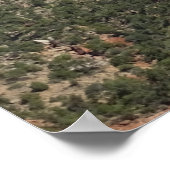 ジオン国立公園 ポスター (角)