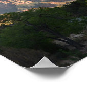 ジオン国立公園 ポスター (角)