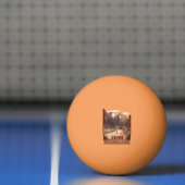 ジオン国立公園 卓球ボール (ネット)