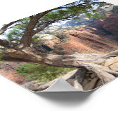 ジオン – エンジェルズランディング ポスター (角)