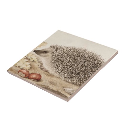 ジオヴァンナ・ガルゾニの風景の中のハリネズミ タイル (側面)