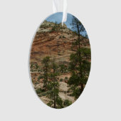 ジオ擦り切れたン国立公園の岩壁 オーナメント (正面)