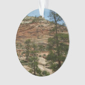 ジオ擦り切れたン国立公園の岩壁 オーナメント (正面)