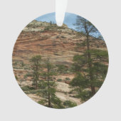 ジオ擦り切れたン国立公園の岩壁 オーナメント (正面)