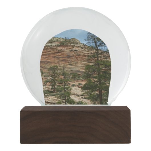 ジオ擦り切れたン国立公園の岩壁 スノーグローブ (正面)