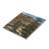 ジオ擦り切れたン国立公園の岩壁 タイル (側面)