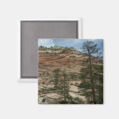 ジオ擦り切れたン国立公園の岩壁 マグネット (正面/裏面)