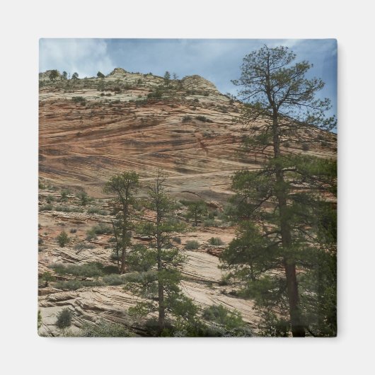 ジオ擦り切れたン国立公園の岩壁 マグネット (正面)