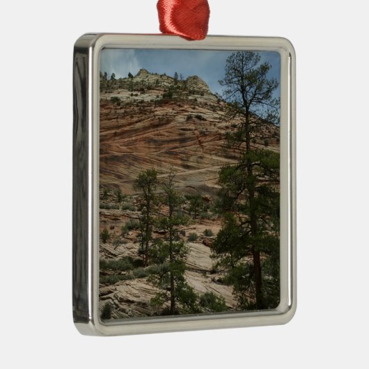 ジオ擦り切れたン国立公園の岩壁 メタルオーナメント (右)