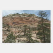 ジオ擦り切れたン国立公園の岩壁 ラッピングペーパーシート (正面)