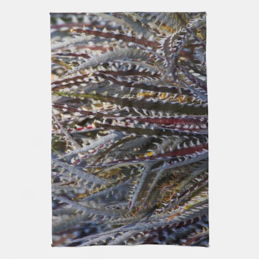 ジキア喜び キッチンタオル (縦)