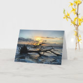 ジキル島のサンライズカード3空白の号(内部) カード (黄色い花)