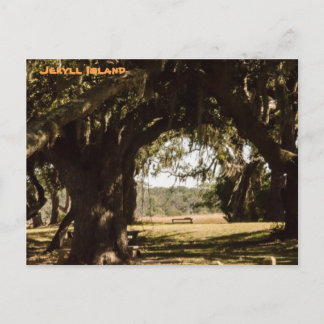 ジキル島の湿原への道 ポストカード