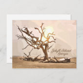 ジキル島ジョージアはがき ポストカード (正面/裏面)