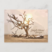 ジキル島ジョージアはがき ポストカード (正面)