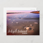ジキル島ジョージアサンドドルビーチ ポストカード (正面/裏面)