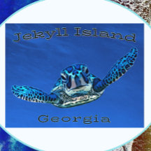 ジキル島ジョージア水泳海カメ