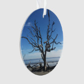 ジキル島ジョージア オーナメント (正面)