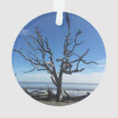 ジキル島ジョージア オーナメント (裏面)