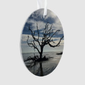 ジキル島ジョージア オーナメント (正面)