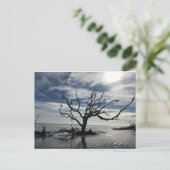 ジキル島ジョージア ポストカード (スタンド正面)