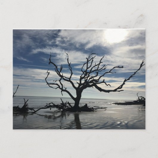 ジキル島ジョージア ポストカード (正面)