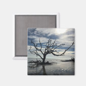 ジキル島ジョージア マグネット (正面/裏面)