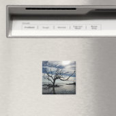 ジキル島ジョージア マグネット (インサイチュ (食洗機))