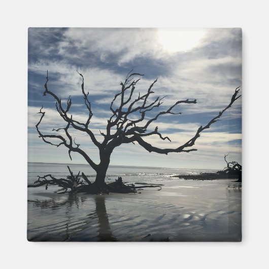 ジキル島ジョージア マグネット (正面)