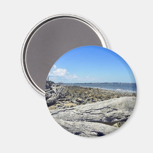 ジキル表示 マグネット (正面/裏面)