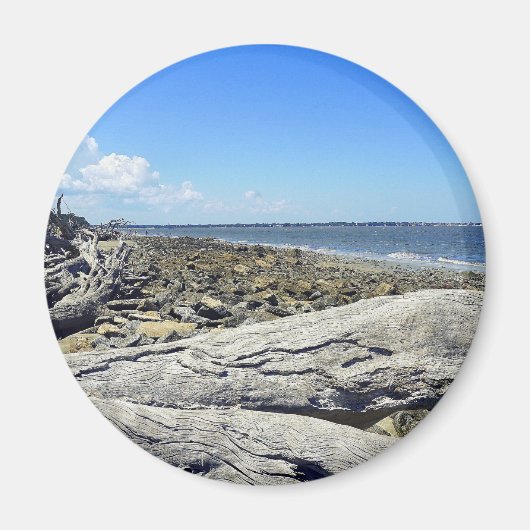 ジキル表示 マグネット (正面)