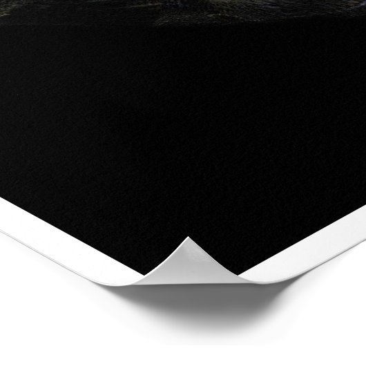 ジギリウム ポスター (角)