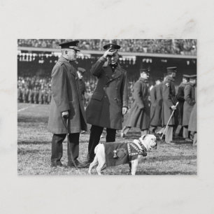 ジグはサッカーを知っている: 1923 ポストカード
