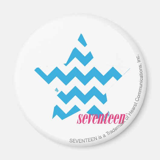 ジグザグアクア2 マグネット (正面)