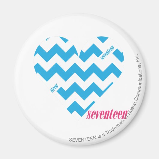 ジグザグアクア4 マグネット (正面)