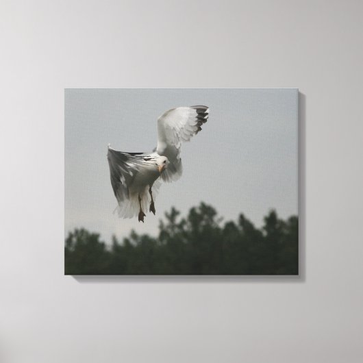 ジグザグキャンバス印刷 キャンバスプリント (正面)