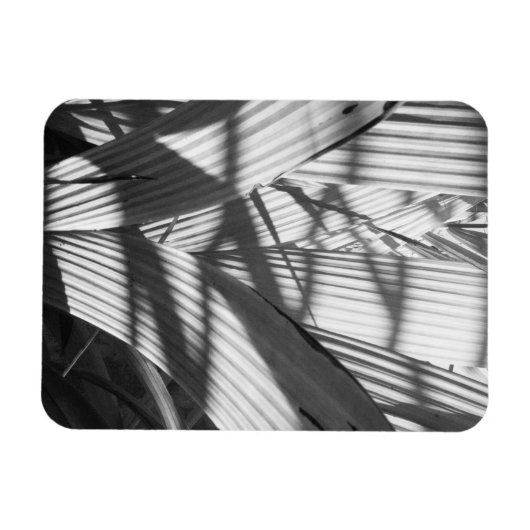 ジグザグ マグネット (横)