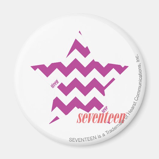 ジグザグ（紫） 4 マグネット (正面)