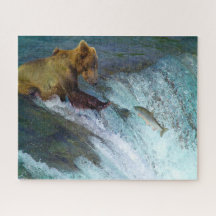 ジグソーコディアックブラウンは魚釣り。