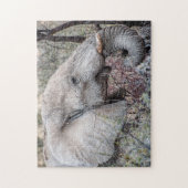 ジグソーパズルによるゾウの閲覧ポートレート ジグソーパズル (縦)