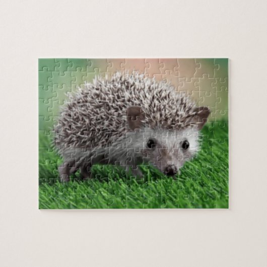 ジグソーパズル (横)