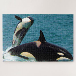 ジグソーパズル オルカまたはキラークジラ