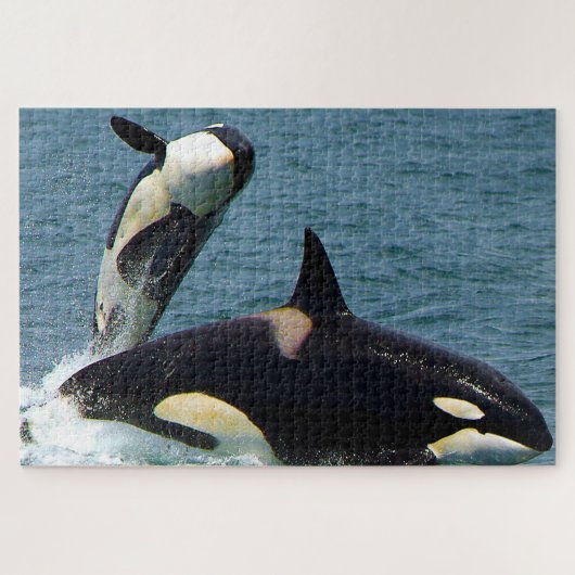 ジグソーパズル オルカまたはキラークジラ (横)