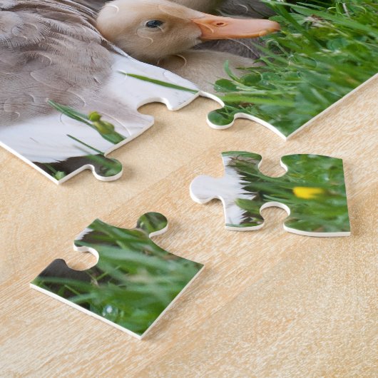 ジグソーパズル: マガモのアヒルおよび子ガモ ジグソーパズル (側面)