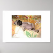 ジズジー ポスター (正面)